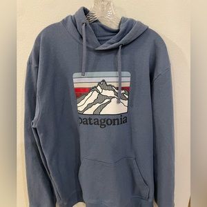 Patagonia Hoodie Size XL Regular Fit